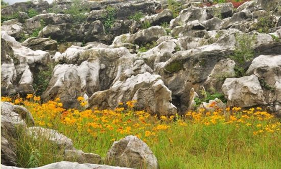 绵阳北川药王谷旅游_绵阳北川药王谷旅游攻略