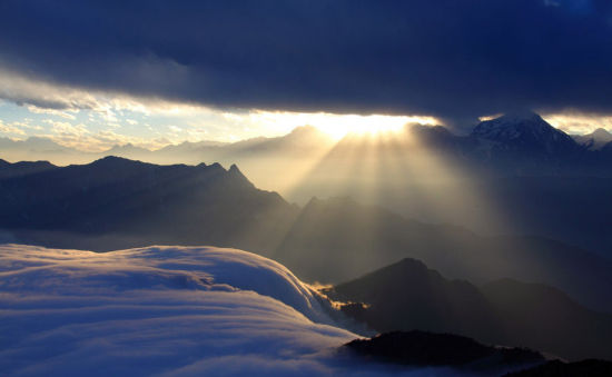 雅安碧峰峡旅游_雅安碧峰峡旅游攻略_碧峰峡