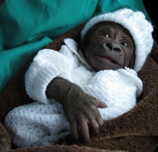 中国旅游博客_中国自由行博客