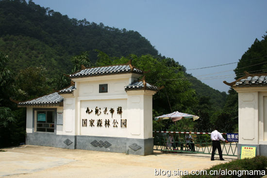 南宁九龙瀑布森林公园旅游_南宁九龙瀑布森林