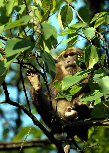 广元唐家河风景区旅游_广元唐家河风景区旅游