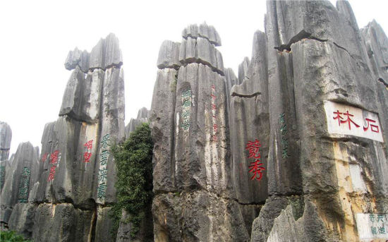 昆明乃古石林旅游_昆明乃古石林旅游攻略_乃