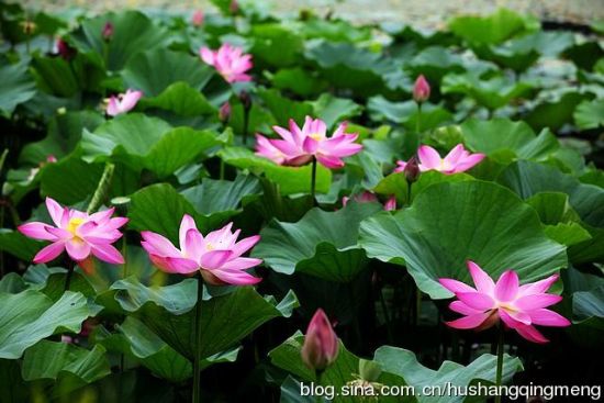 承德避暑山庄旅游_承德避暑山庄旅游攻略_避