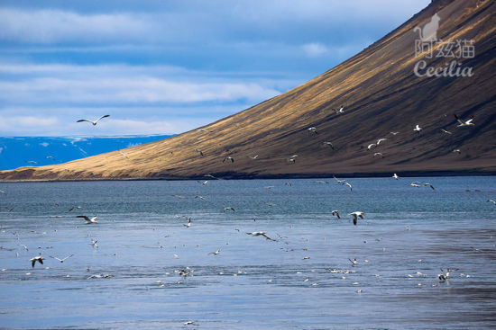 冰岛旅游博客_冰岛自由行博客