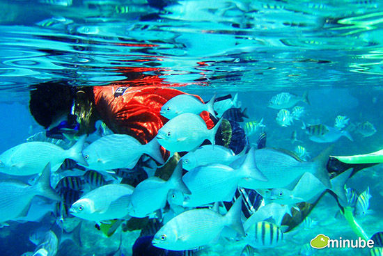 坎昆旅游攻略_坎昆游玩攻略_坎昆自助旅游攻