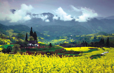雅安蒙顶山旅游_雅安蒙顶山旅游攻略_蒙顶山图片_蒙顶山门票价格_新浪旅游