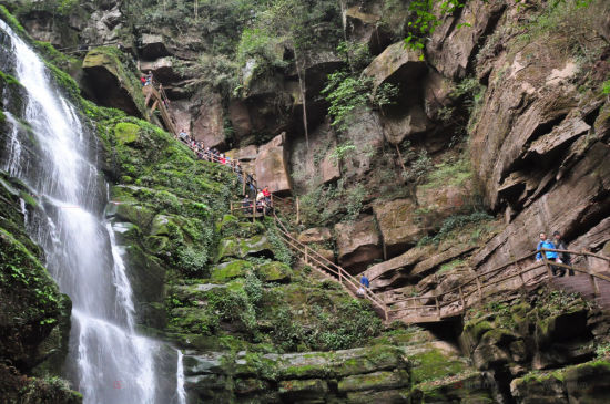 雅安碧峰峡旅游_雅安碧峰峡旅游攻略_碧峰峡