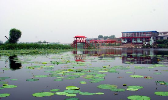 衡水市衡水湖国家级自然保护区旅游_衡水市衡