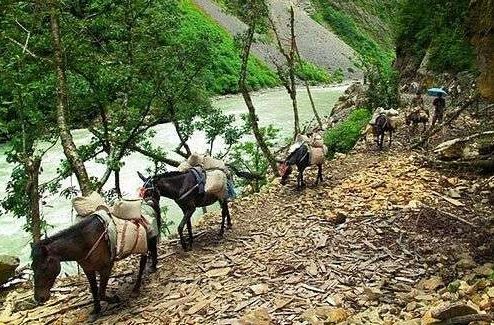 云南旅游博客_云南自由行博客