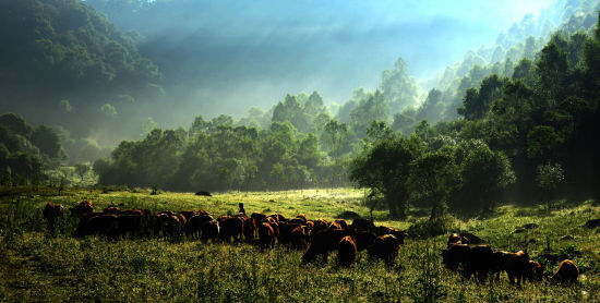 宝鸡关山草原旅游_宝鸡关山草原旅游攻略_关