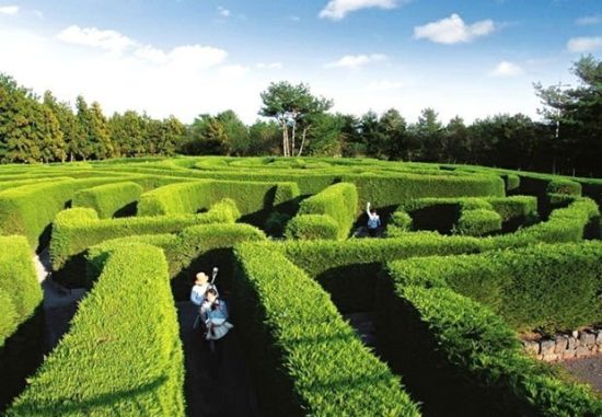 济州岛旅游博客_济州岛自由行博客