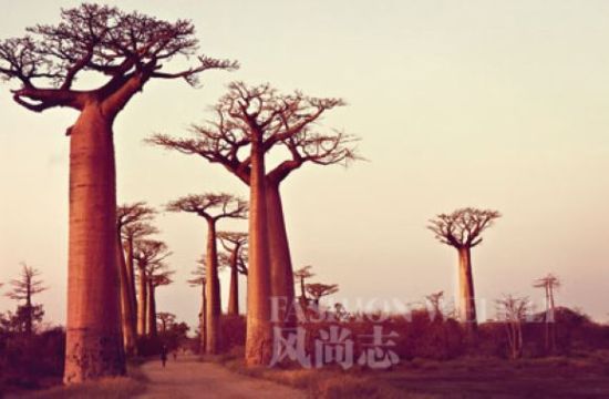 马达加斯加旅游博客_马达加斯加自由行博客