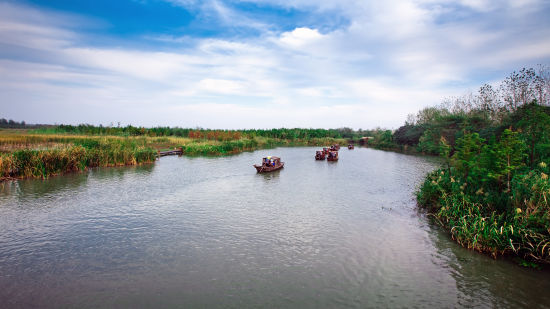泰州溱湖国家湿地公园旅游_泰州溱湖国家湿地