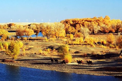 新疆旅游博客_新疆自由行博客