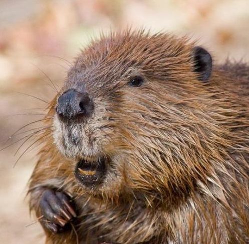 贵阳旅游博客_贵阳自由行博客