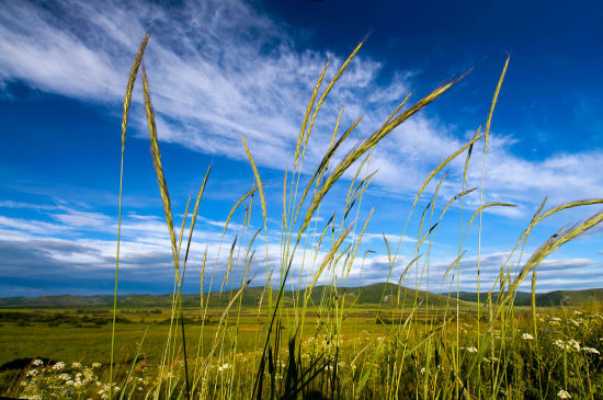 内蒙古呼伦贝尔大草原旅游_内蒙古呼伦贝尔大