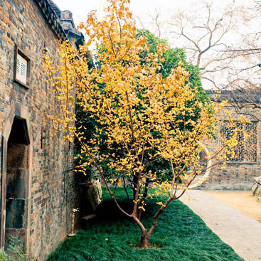 扬州旅游博客_扬州自由行博客