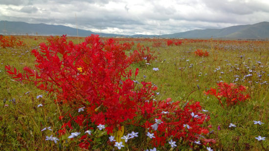 大理苍山洱海旅游_大理苍山洱海旅游攻略_苍