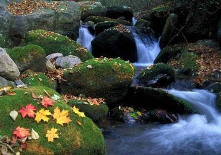 伊春旅游博客_伊春自由行博客