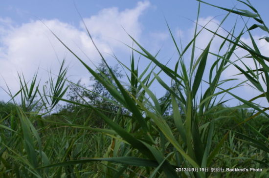 中国旅游博客_中国自由行博客
