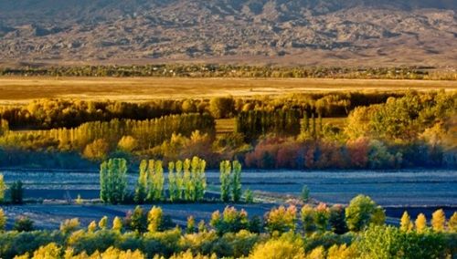 阿勒泰禾木-喀纳斯旅游_阿勒泰禾木-喀纳斯旅