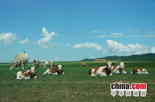 内蒙古旅游博客_内蒙古自由行博客