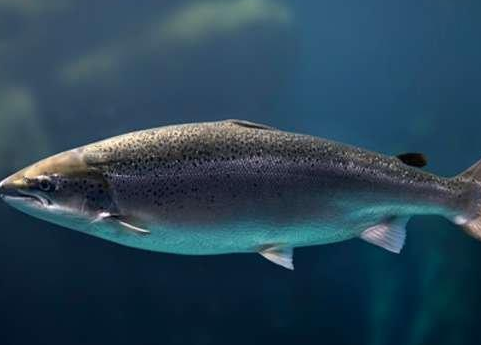 鸡西旅游_鸡西旅游攻略_鸡西旅游景点介绍_鸡