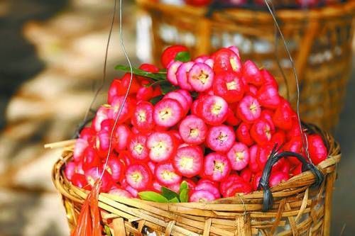 门鼓浪屿旅游_厦门鼓浪屿旅游攻略_鼓浪屿图