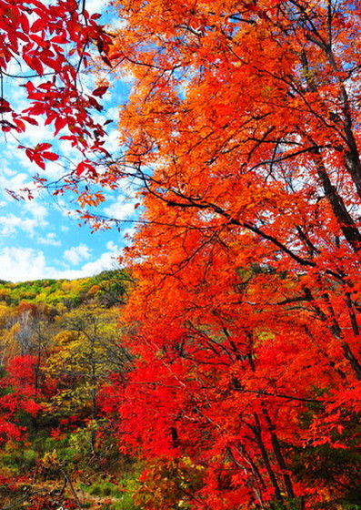 吉林蛟河市旅游_吉林蛟河市旅游攻略_蛟河市