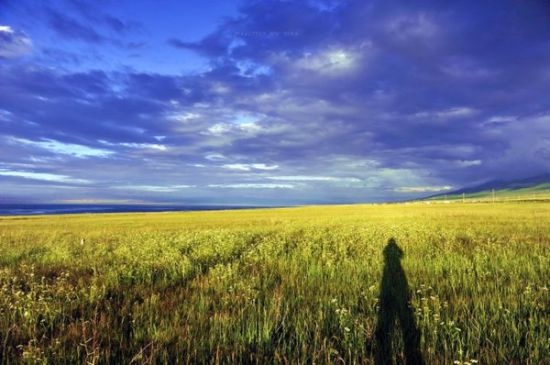 青海青海湖旅游_青海青海湖旅游攻略_青海湖