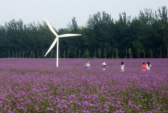 北京北海公园旅游_北京北海公园旅游攻略_北