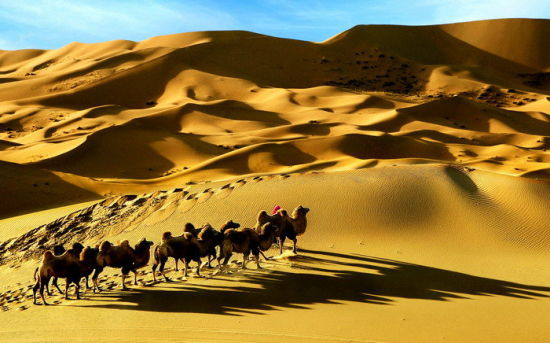 阿拉善盟巴丹吉林沙漠旅游_阿拉善盟巴丹吉林