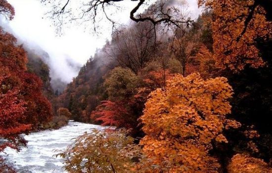 阿坝州理县古尔沟温泉旅游_阿坝州理县古尔沟