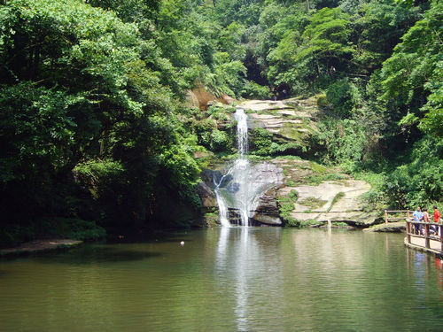雅安碧峰峡旅游_雅安碧峰峡旅游攻略_碧峰峡