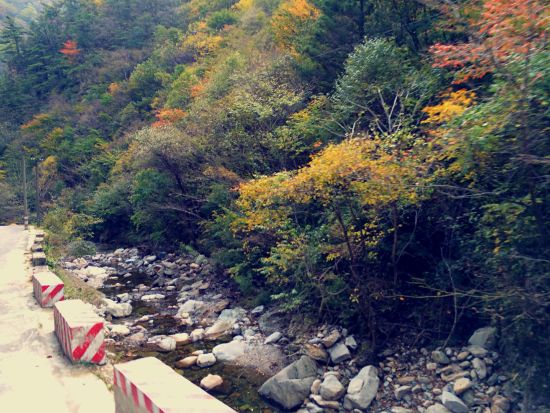 宝鸡太白山旅游_宝鸡太白山旅游攻略_太白山