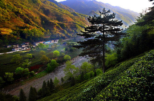 甘肃旅游博客_甘肃自由行博客