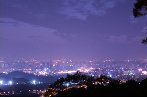 广东特产_广东特产有哪些_广东特产是什么