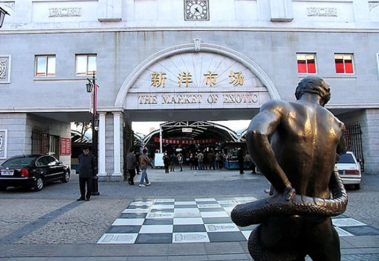 天津旅游博客_天津自由行博客_新浪旅游