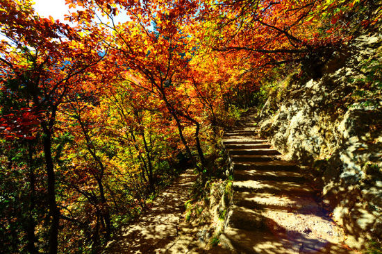 江西婺源旅游_江西婺源旅游攻略_婺源图片_婺