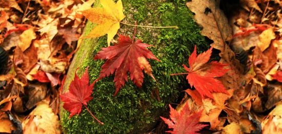 辽宁本溪旅游博客_辽宁本溪自由行博客