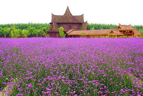 无锡市宜兴竹海旅游_无锡市宜兴竹海旅游攻略