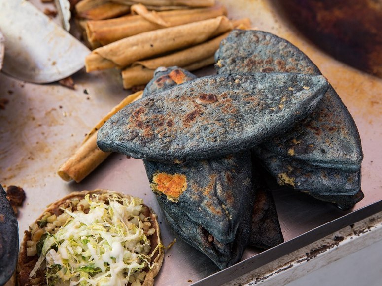 墨西哥旅游_墨西哥旅游攻略_墨西哥旅游景点