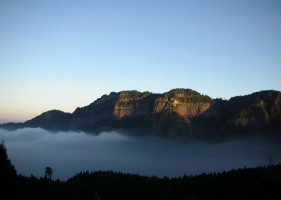 嘉义阿里山旅游_嘉义阿里山旅游攻略_阿里山