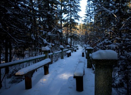 伊春旅游博客_伊春自由行博客