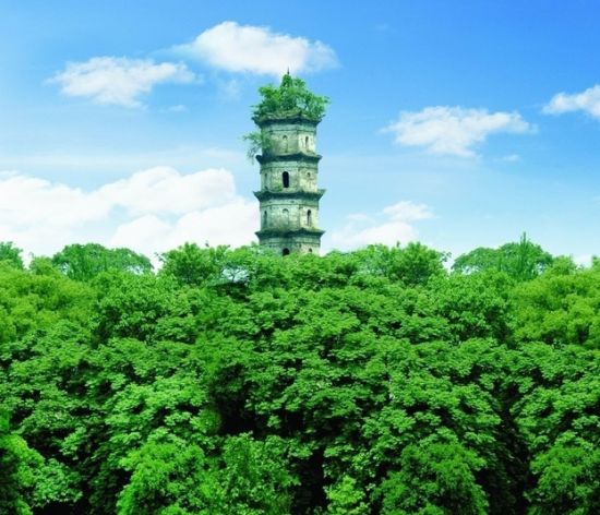 衢州旅游博客_衢州自由行博客