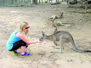 澳大利亚旅游博客_澳大利亚自由行博客