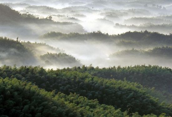 四川青城山-都江堰旅游_四川青城山-都江堰旅