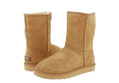 悉尼旅游博客_悉尼自由行博客