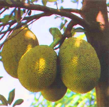 广西旅游博客_广西自由行博客