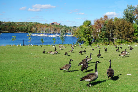 加拿大热门景点推荐_加拿大热门旅游景点介绍
